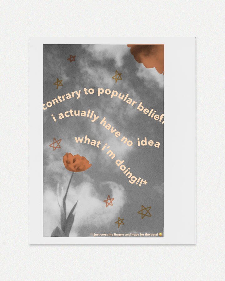 contrary to popular belief digital collage