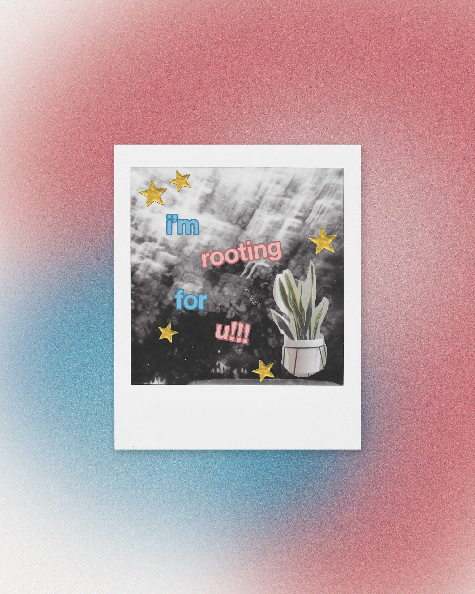 i'm rooting for u!